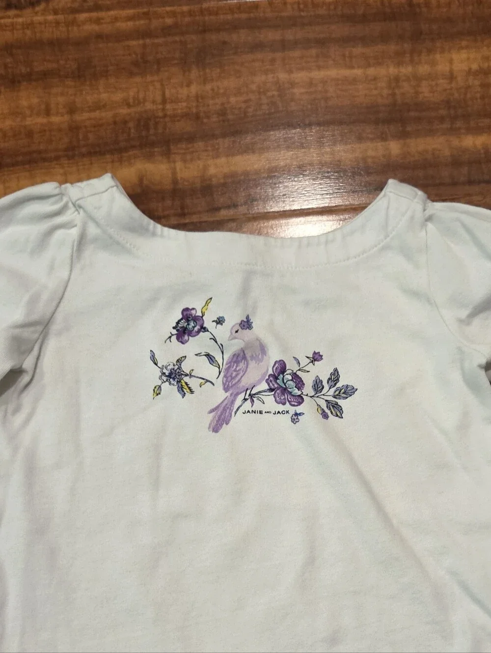 Janie and Jack EUC 18-24 Months Ivory Bird Top and Floral Ponte Pants